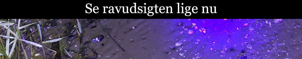 Udsigten